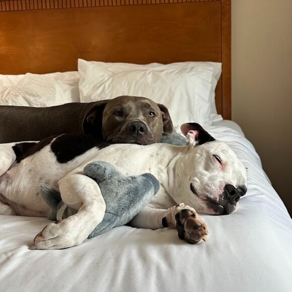 Meet your Posher, Adrianne! - Picture 5 of 16